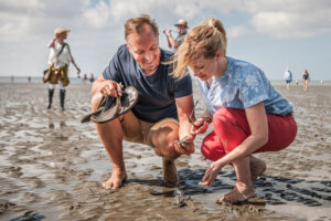 Wattwandern Wattenmeer Norddeich Nordsee